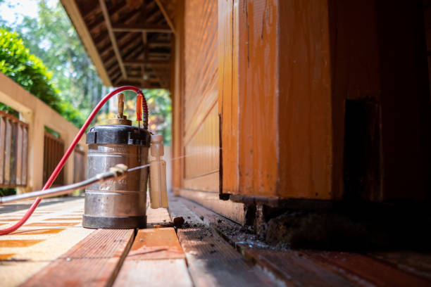 Pest Control Cost in Hartford, IL
