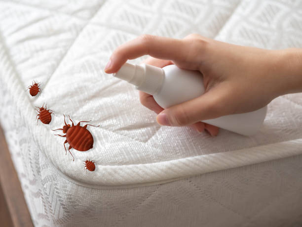 Best Best Pest Control Companies  in Hartford, IL