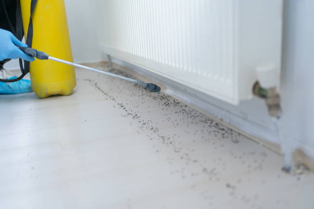 Best Exterminator Services  in Hartford, IL